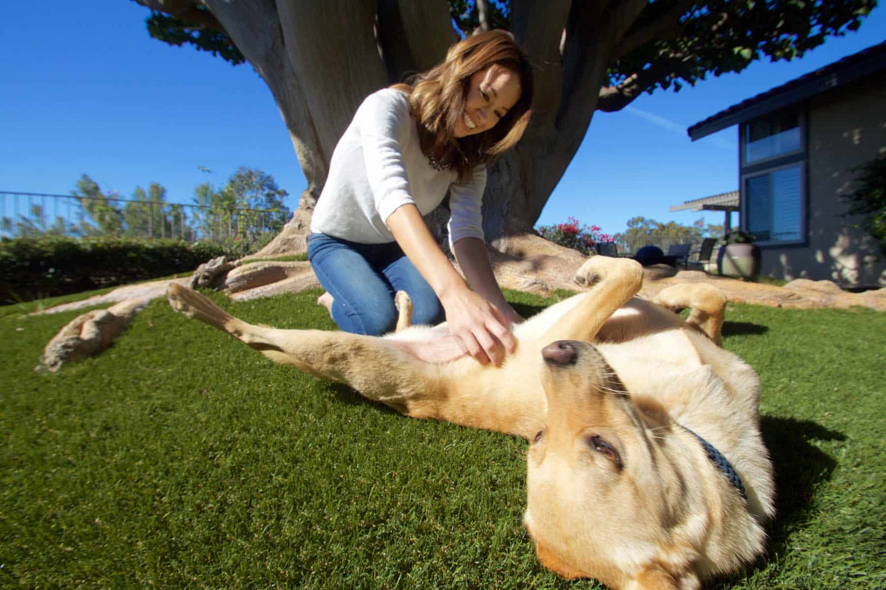 Woman playing with dog on artificial grass from SYNLawn