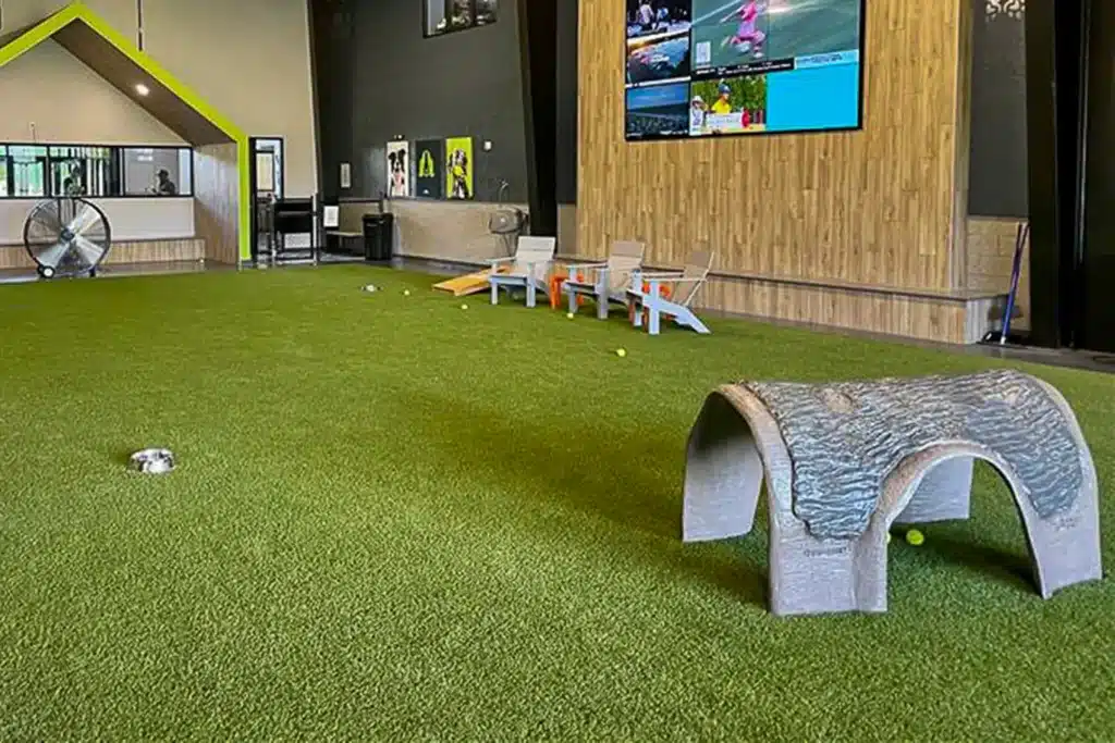 Indoor commercial artificial grass dog park installed by SYNLawn