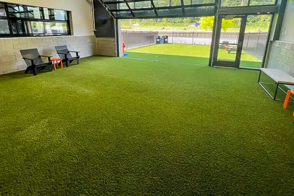Indoor artificial grass dog park from SYNLawn