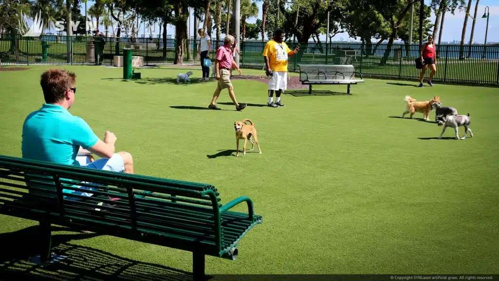 dog park artificial grass lawn